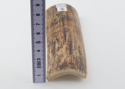 Beige-black mammoth bark