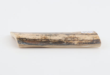 Natural fossil mammoth bark