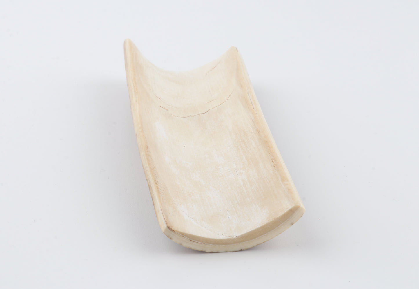 Beige-black mammoth bark