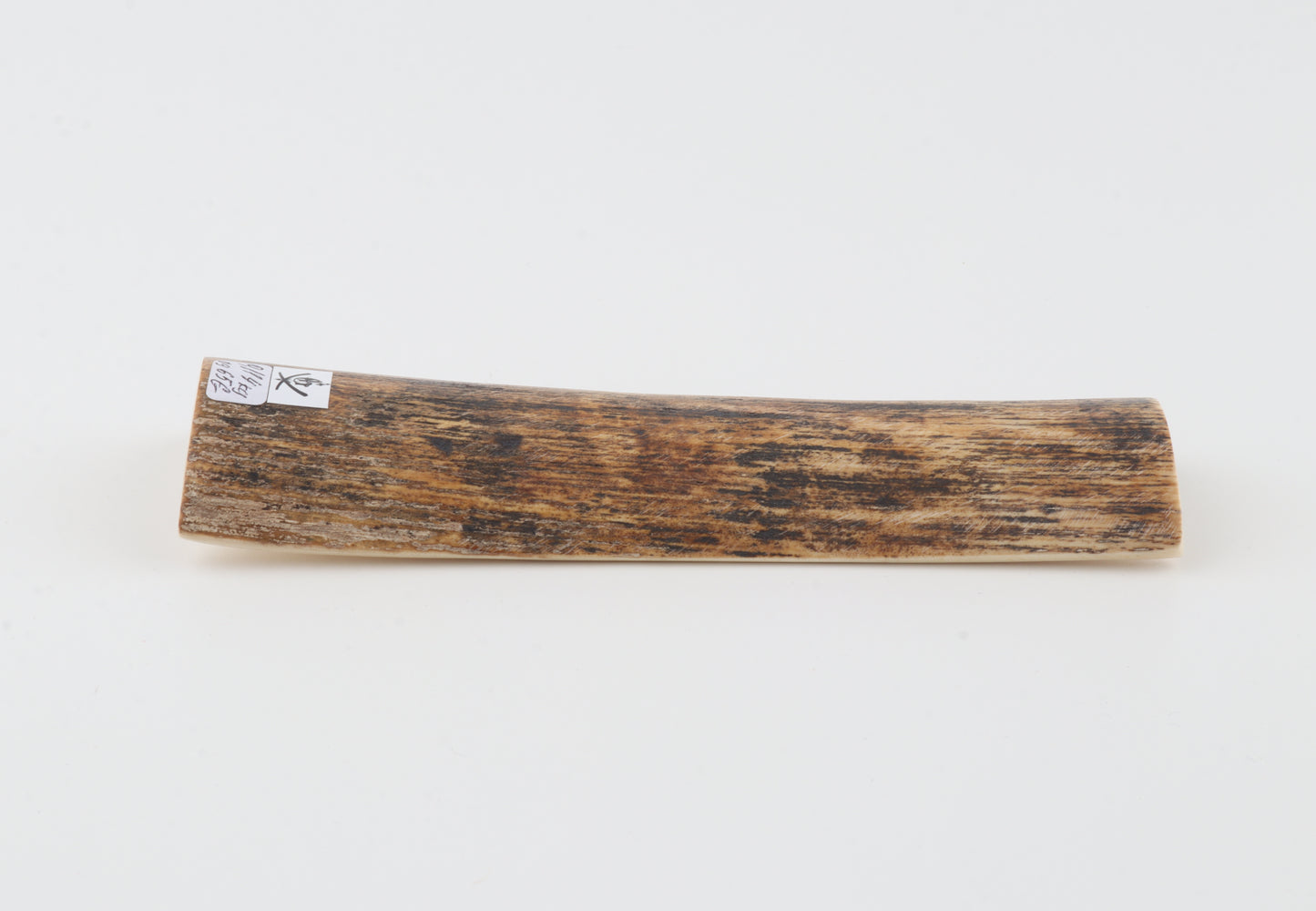 Beige-black mammoth bark