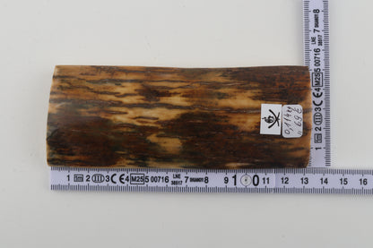 Brown-green mammoth bark