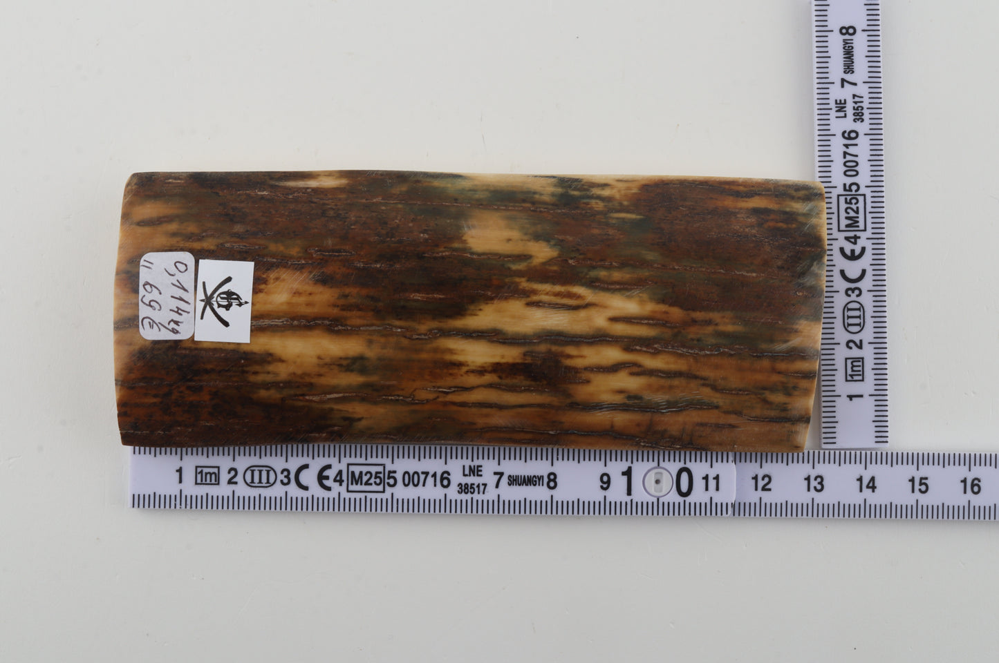 Brown-green mammoth bark