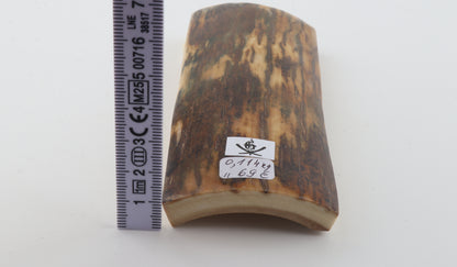 Brown-green mammoth bark