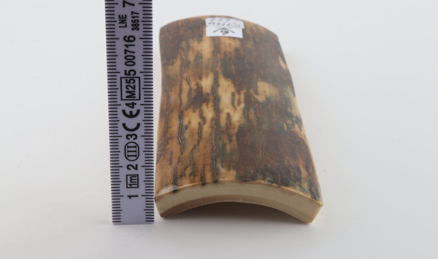 Brown-green mammoth bark