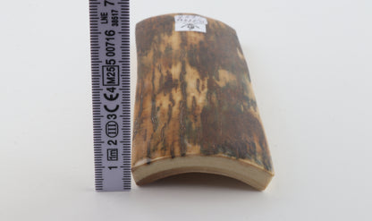 Brown-green mammoth bark