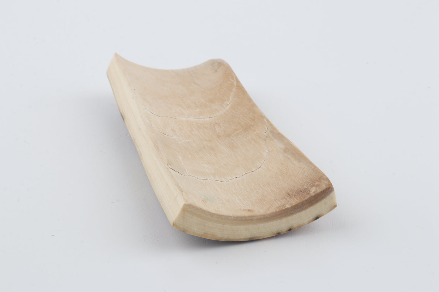 Brown-green mammoth bark