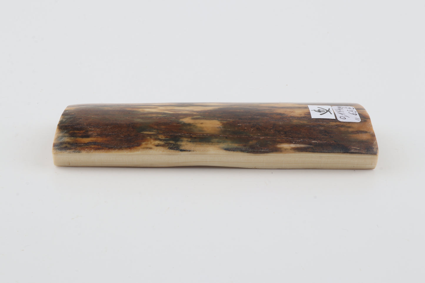 Brown-green mammoth bark