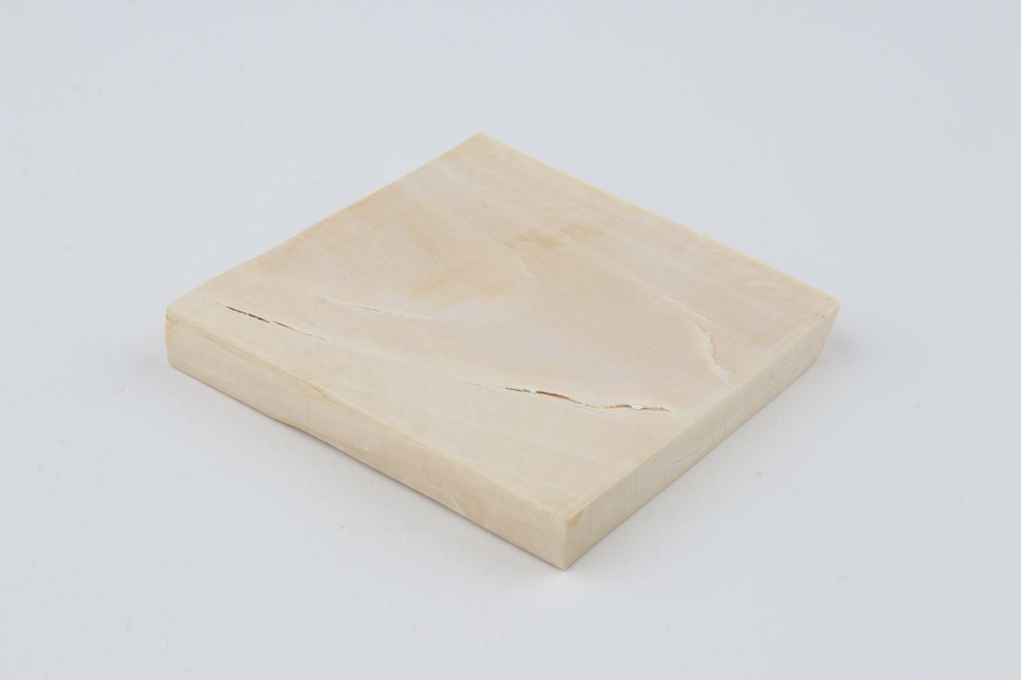 White mammoth ivory segment