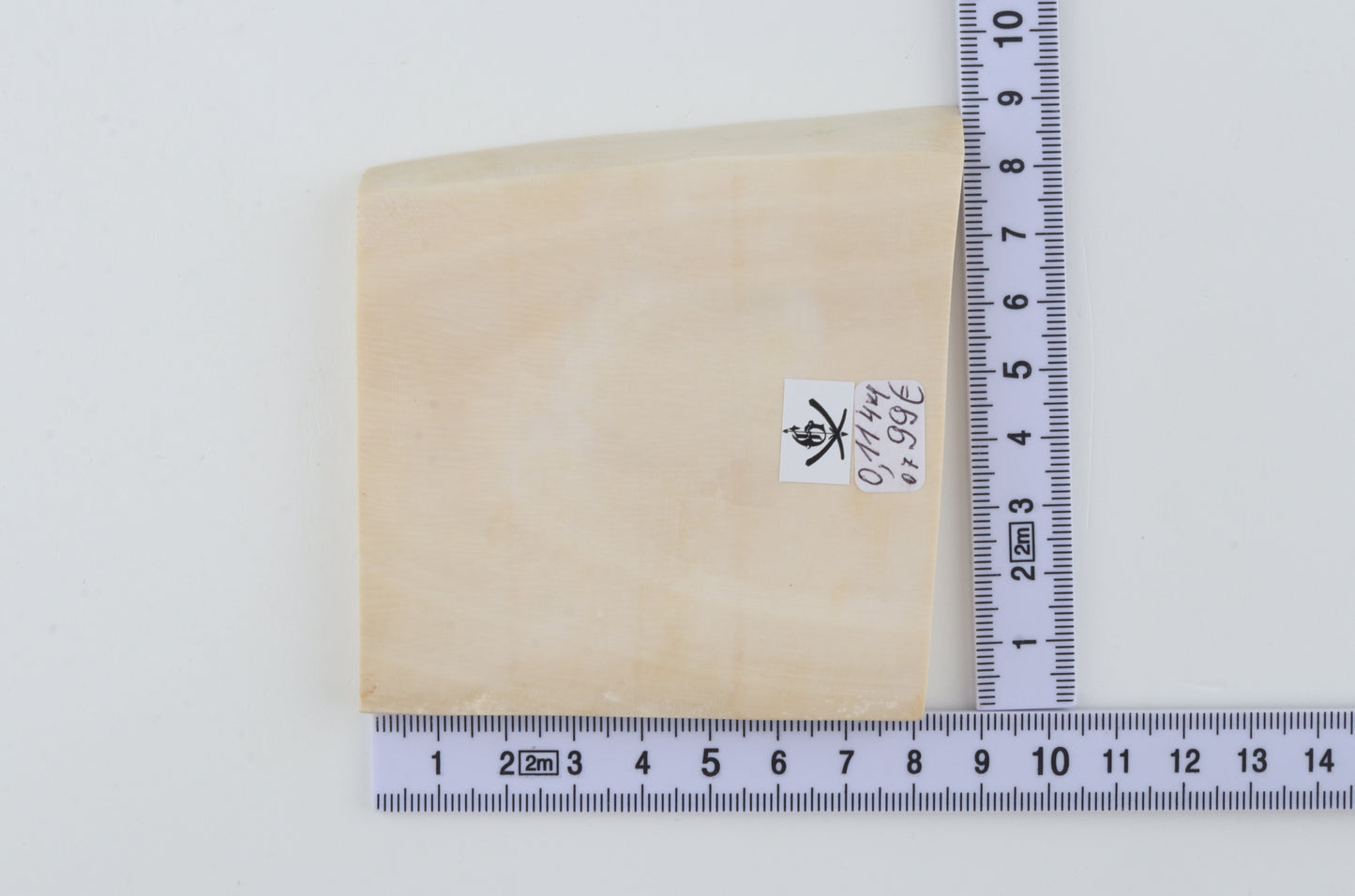 White mammoth ivory segment