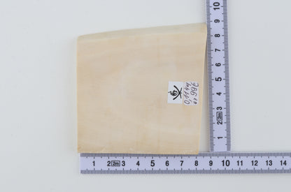 White mammoth ivory segment