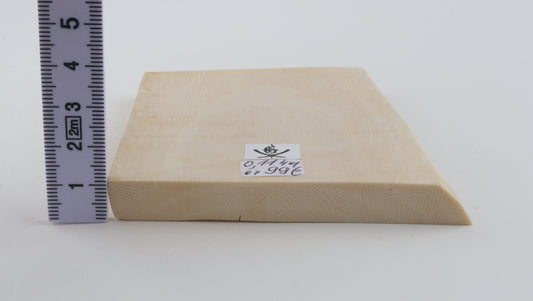 White mammoth ivory segment