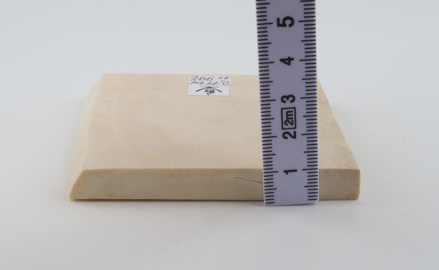White mammoth ivory segment