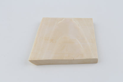 White mammoth ivory segment