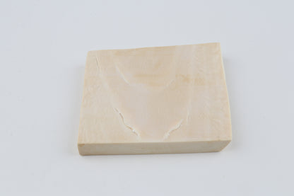 White mammoth ivory segment