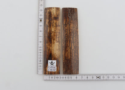Natural mammoth bark scales