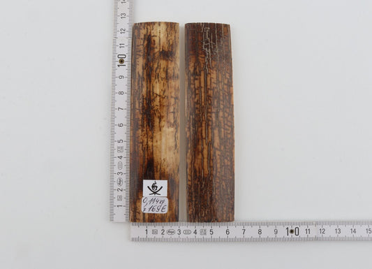 Natural mammoth bark scales