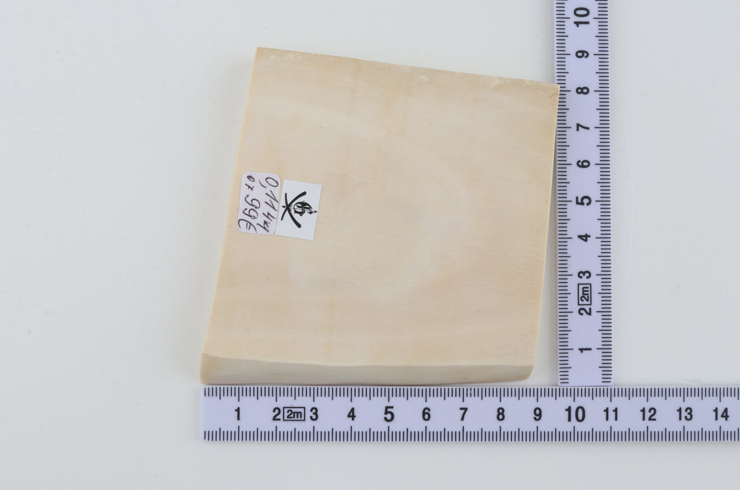 White mammoth ivory segment