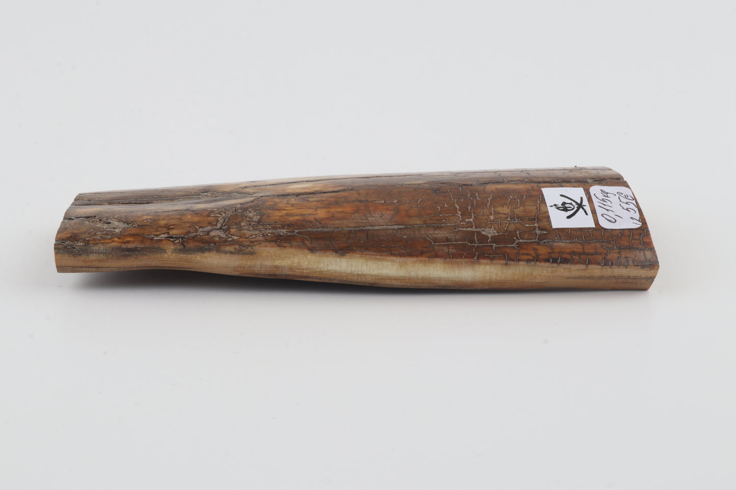 Brown-caramel mammoth bark