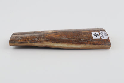 Brown-caramel mammoth bark