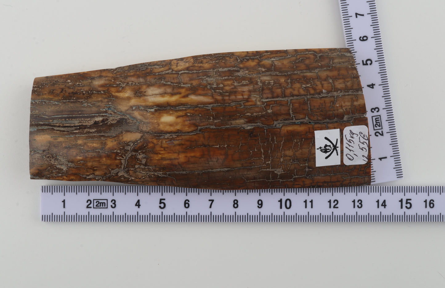 Brown-caramel mammoth bark