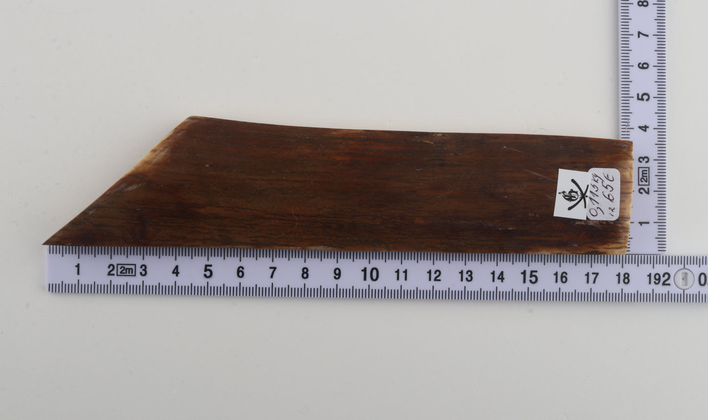 Mustard-green mammoth bark