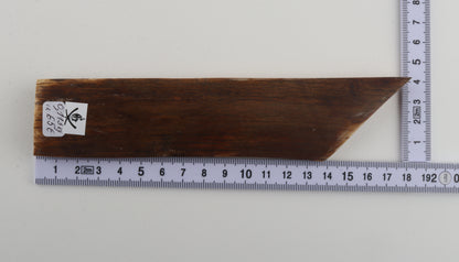 Mustard-green mammoth bark