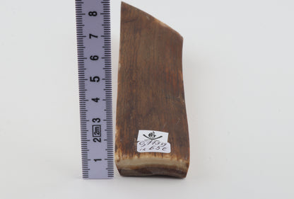 Mustard-green mammoth bark