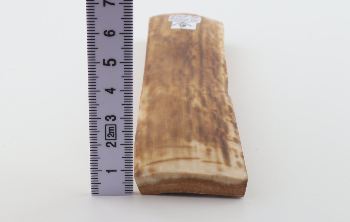 Caramel mammoth bark