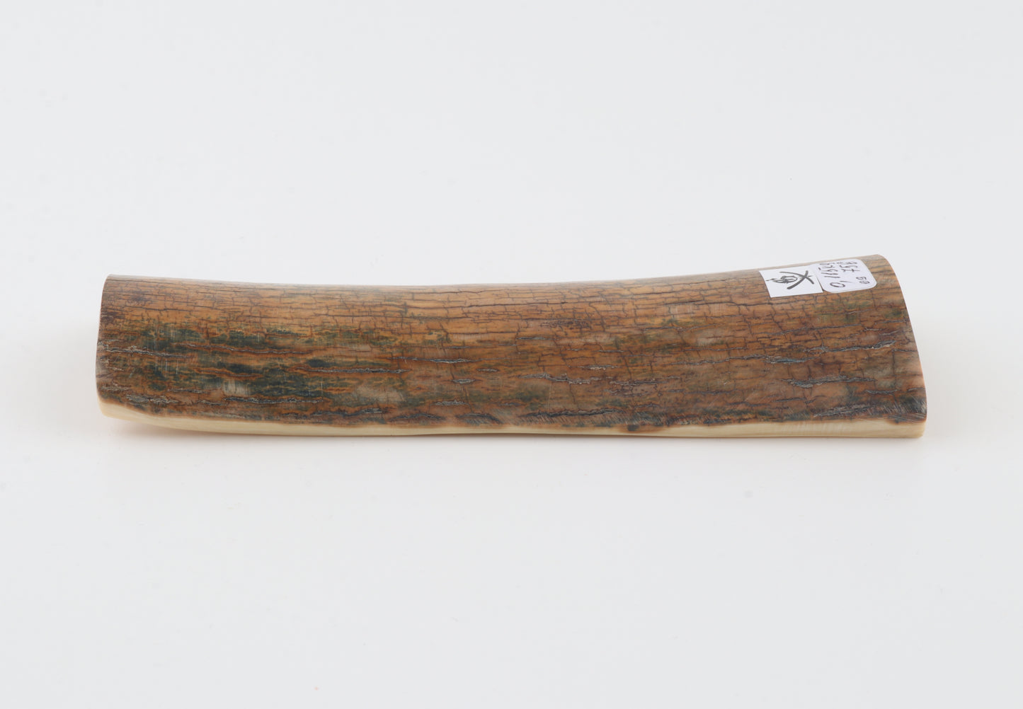 Mustard mammoth bark