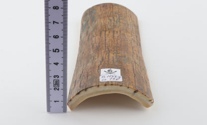 Mustard mammoth bark