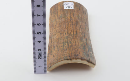 Mustard mammoth bark