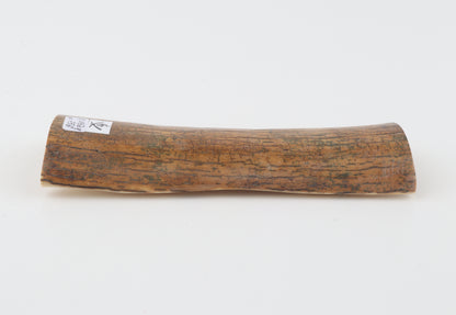 Mustard mammoth bark