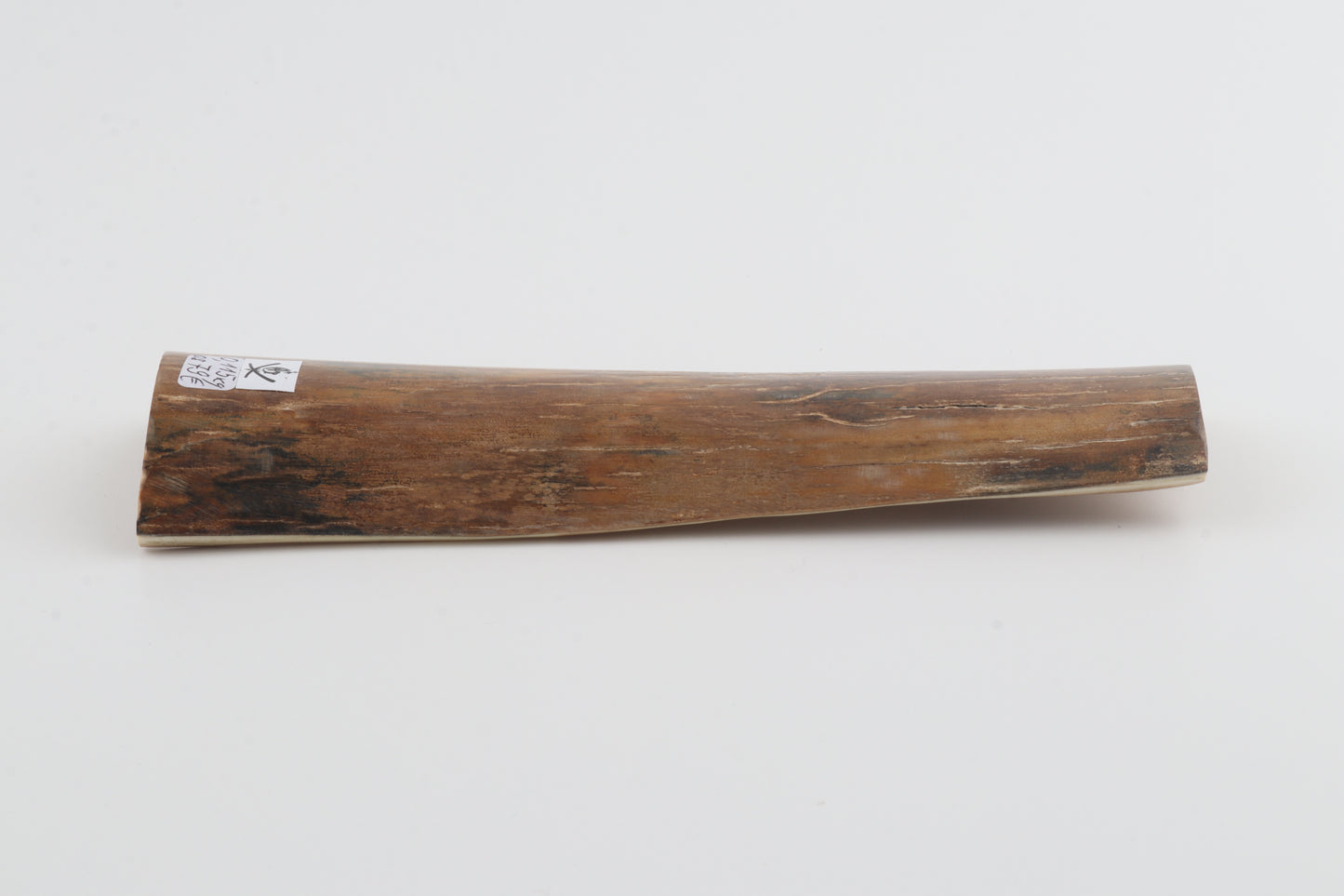 Caramel-brown mammoth bark