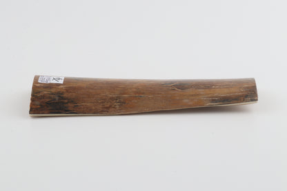 Caramel-brown mammoth bark