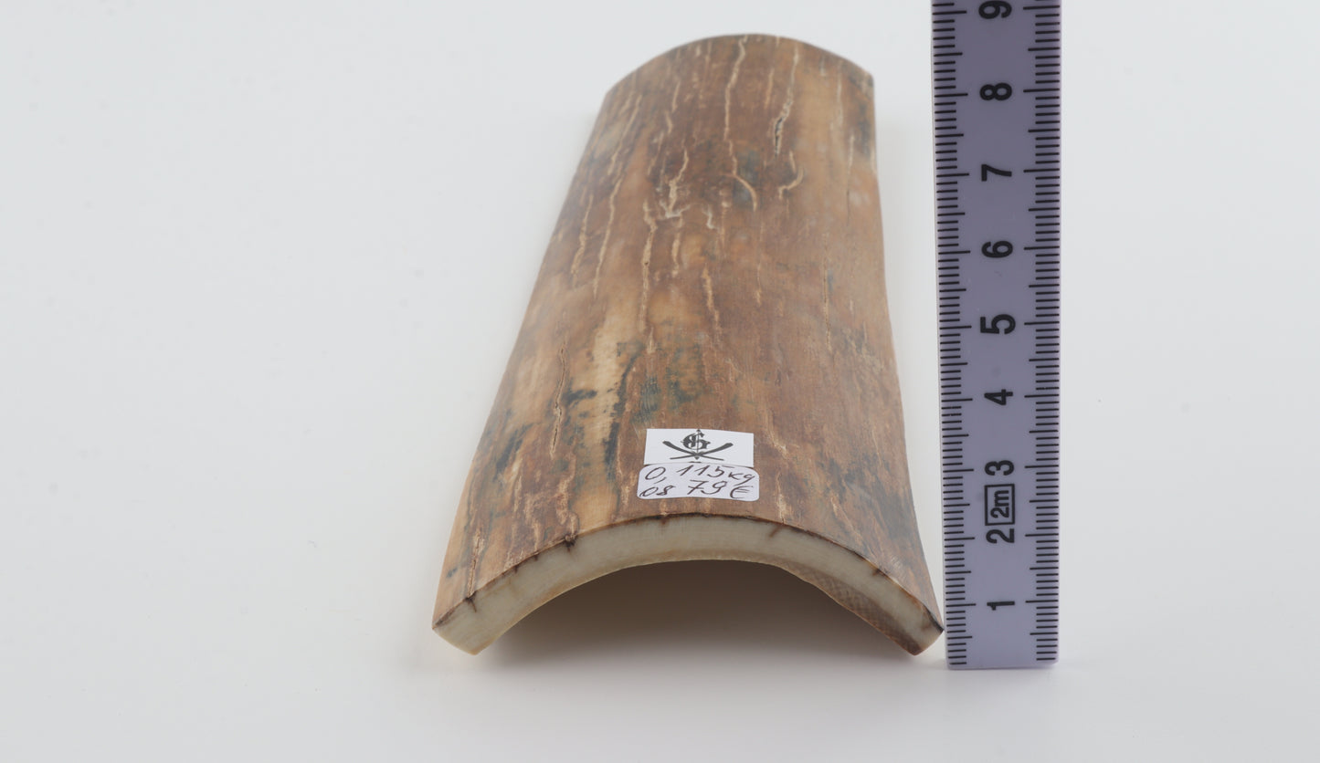Caramel-brown mammoth bark