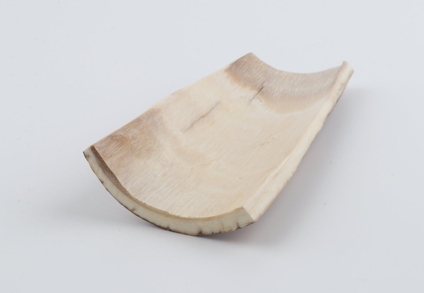 Caramel-brown mammoth bark