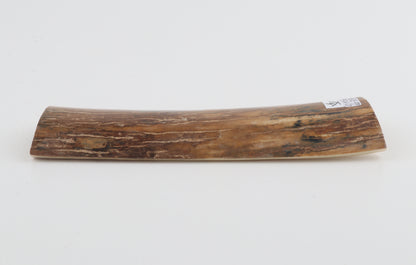 Caramel-brown mammoth bark