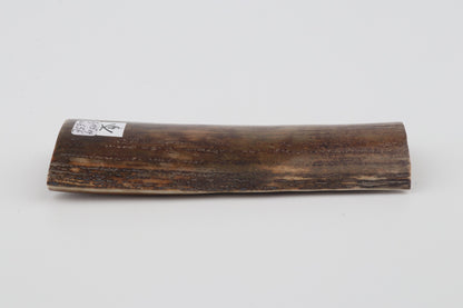 Brown-green mammoth bark