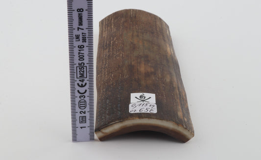 Brown-green mammoth bark