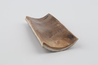 Brown-green mammoth bark