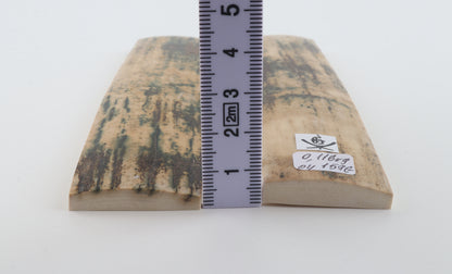 Natural mammoth bark scales
