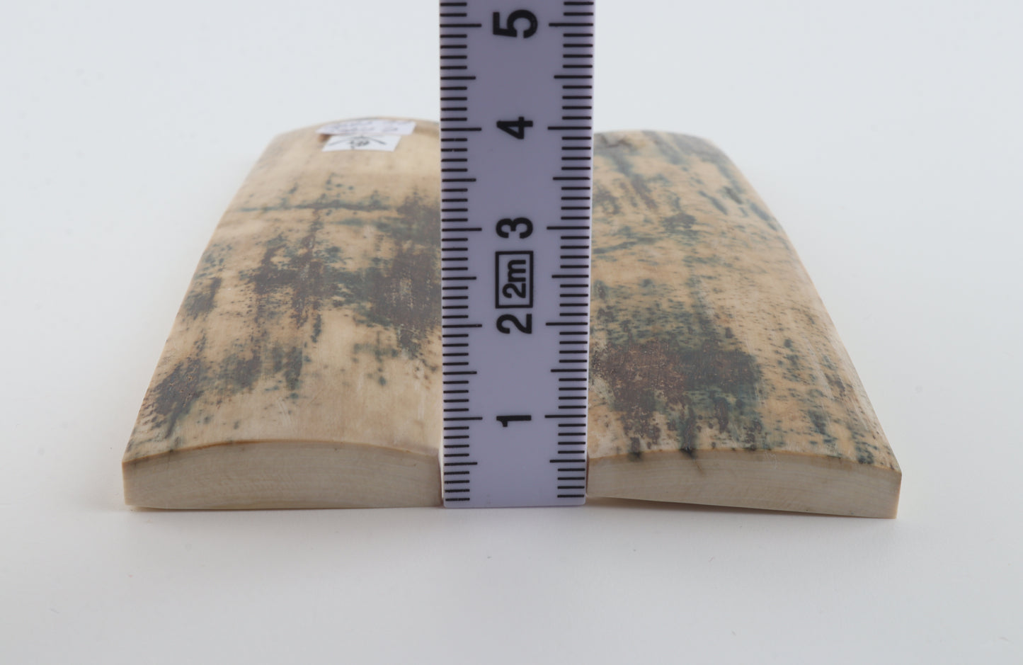Natural mammoth bark scales