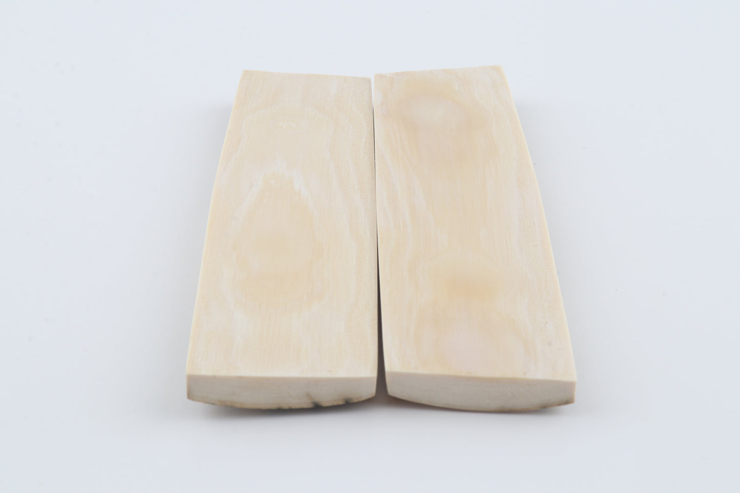 Natural mammoth bark scales