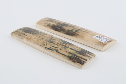 Natural mammoth bark scales