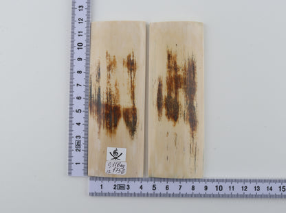 Natural mammoth bark scales