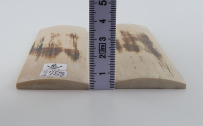 Natural mammoth bark scales