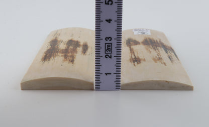 Natural mammoth bark scales