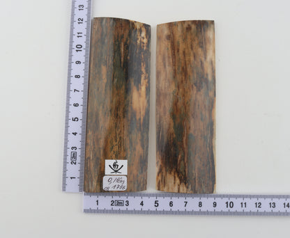 Natural mammoth bark scales