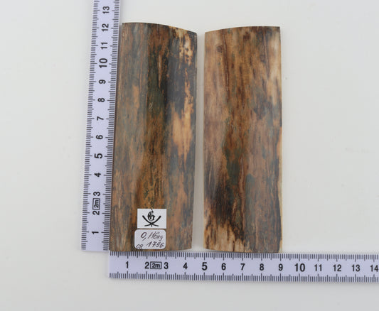 Natural mammoth bark scales