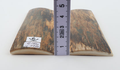 Natural mammoth bark scales